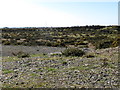 Disused sand and gravel pit on Pats Road