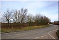 Approaching Great Offley from the south west