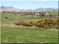 View north-eastwards across the entrenched lower reaches of the Mullagh River 