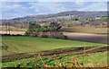 SO8074 : View north from the edge of Burlish Top Nature Reserve, near Stourport-on-Severn by P L Chadwick