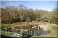 Sluice on Loughton Brook