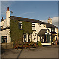 The Rose and Crown