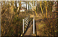 A footbridge over Mill Brook