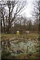 Pond in Home Mead