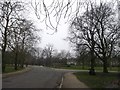 TQ3187 : Path junction, Finsbury Park by David Anstiss