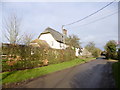 Ashmore, thatched cottages