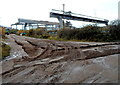 Tracks in the mud, Chepstow