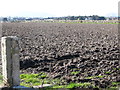 Ploughed field on the west side of Moor Road