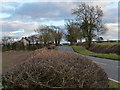 Newton Lane heading towards Newton Harcourt