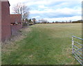 Field on the edge of Wigston Magna