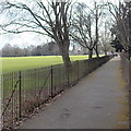 Path between railings, Bathurst Park, Lydney