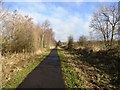 Old Railway Walk at South Pelaw