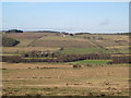 Farmland east of Allery Burn