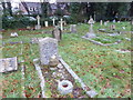 St Mark, Highcliffe: churchyard (v)