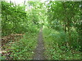 A path near Back Lane