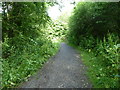 Gates across the path