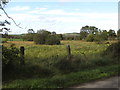 Wet land on the west side of Churchtown Road