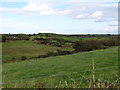 Grazing land north of Glebe Road