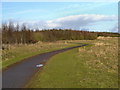 Path in Clock face Colliery Country park