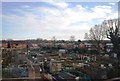 Allotments, Bushbury