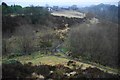 Paths and cloughs below Cranberry Fold