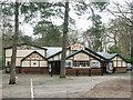 Kinema in the Woods