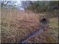 Todwick Beck