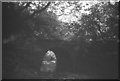 Waggonway crossing Lumley Park Burn, 1968