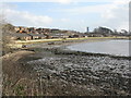 Houses at Bruce Haven