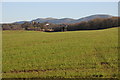 View to Coddington and the Malvern Hills