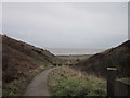 NZ4540 : The path down to Horden Beach by Ian S