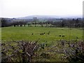 Garvagh Townland