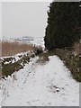 Bridleway - Back Lane