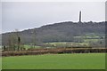 Taunton Deane District : Grassy Fields & Wellington Monument