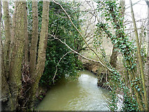 TQ6413 : Chilsham Stream at Fareham Bridge by Robin Webster