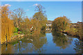 River Avon at Bathampton