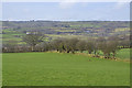 View north west from Llanbadarn Odwyn church