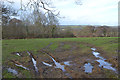 Damp field near Allt Castell-waun