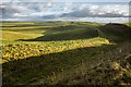 SU0864 : The Wansdyke at Tan Hill by Gillie Rhodes