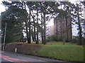 Penglais Road: milestone and university halls of residence