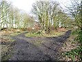 Former railway junction, Athersley North