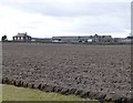 Buckton across the ploughed field