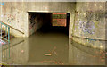 Flooded subway, Seymour Hill, Derriaghy