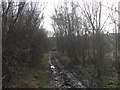 A very muddy former railway line