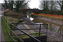 SD5271 : Lancaster Canal, Capernwray by Ian Taylor