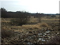 Boggy ground near the Leeds and Liverpool Canal