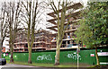 J3271 : Nos 36-38 Windsor Park, Belfast (2013-2) by Albert Bridge