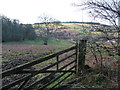 View to Kymin Hill