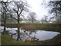 Pool in Apley Park