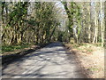 Shacklands Road passing through Andrew